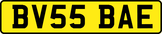 BV55BAE