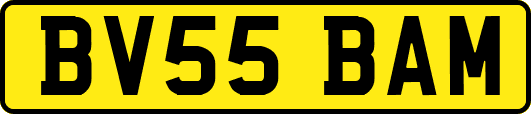 BV55BAM