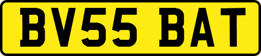 BV55BAT