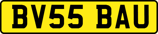 BV55BAU