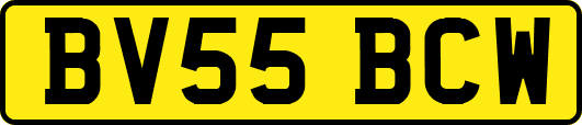 BV55BCW