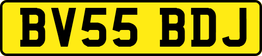 BV55BDJ