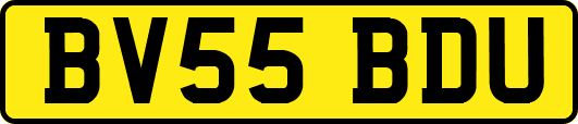 BV55BDU