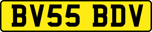 BV55BDV