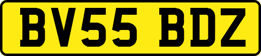 BV55BDZ