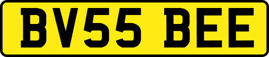 BV55BEE