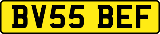 BV55BEF