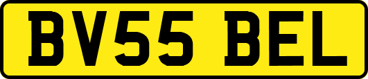 BV55BEL