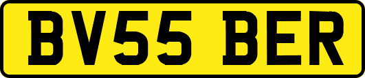 BV55BER
