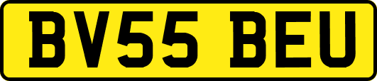 BV55BEU
