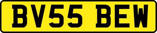 BV55BEW