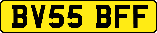 BV55BFF