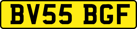 BV55BGF