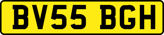 BV55BGH