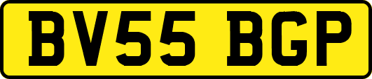 BV55BGP