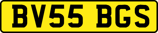 BV55BGS