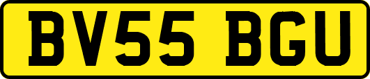 BV55BGU