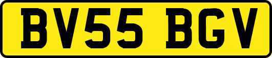 BV55BGV