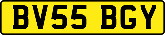 BV55BGY