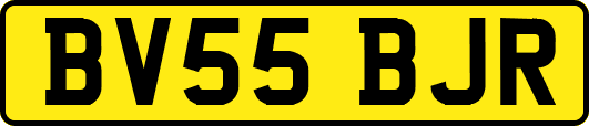 BV55BJR
