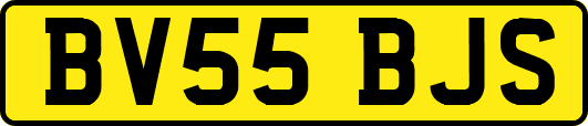 BV55BJS