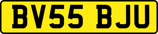 BV55BJU
