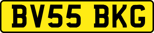 BV55BKG