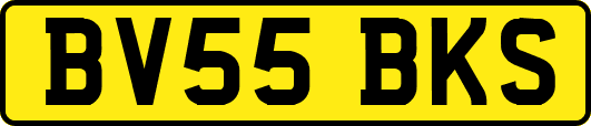 BV55BKS
