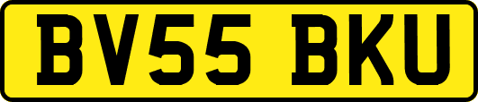 BV55BKU