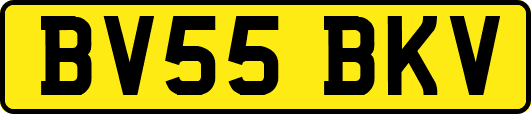 BV55BKV
