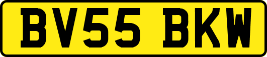 BV55BKW