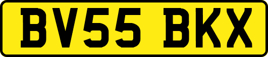 BV55BKX