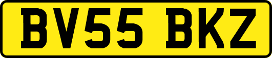 BV55BKZ