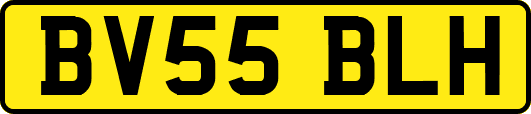 BV55BLH