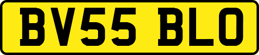 BV55BLO