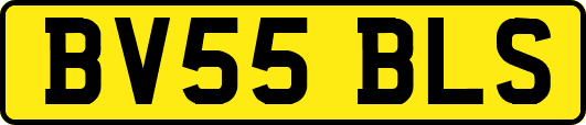 BV55BLS