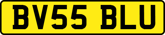 BV55BLU
