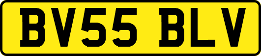 BV55BLV