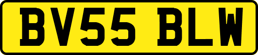 BV55BLW