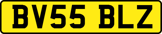 BV55BLZ