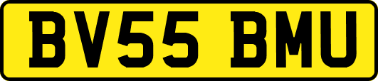 BV55BMU