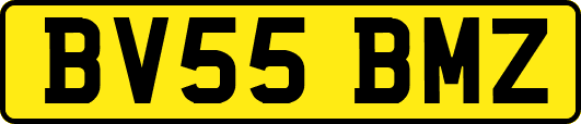 BV55BMZ