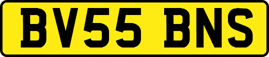 BV55BNS
