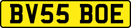BV55BOE