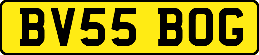 BV55BOG