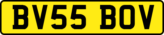 BV55BOV