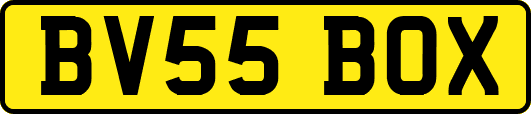BV55BOX