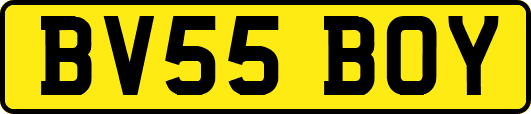 BV55BOY