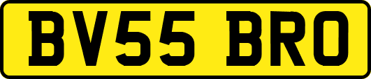 BV55BRO