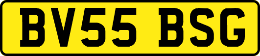 BV55BSG